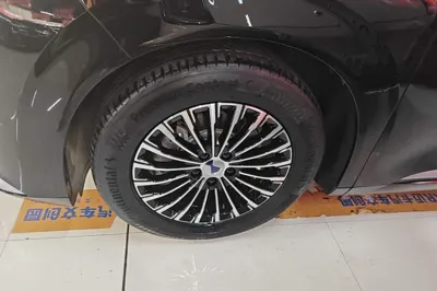 Denza D9