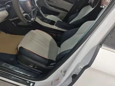 BYD PLUS New Energy