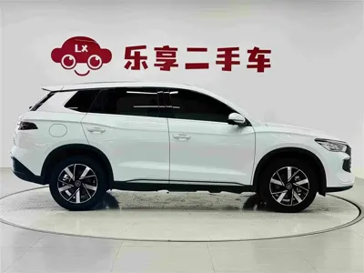 BYD Pro New Energy