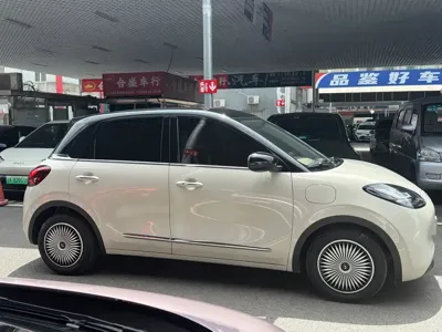 Wuling Bingo