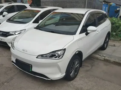 NETA Neta V
