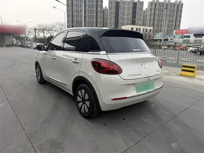 Wuling Bingo