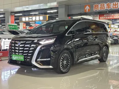 Denza Denza D9