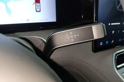 Denza N9
