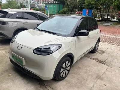 Wuling Bingo
