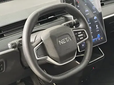 NETA Neta V