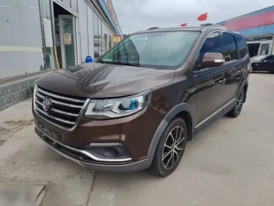 Fengxing Fengxing SX6