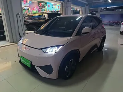 BYD Seagull