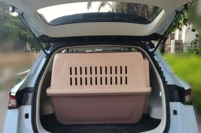 Wuling Asta