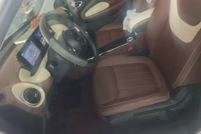 Wuling Bingo