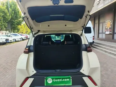 BYD Seagull
