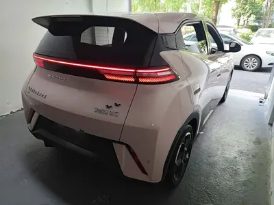 BYD Seagull