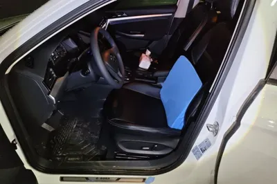 Volkswagen Bora Pure Electric