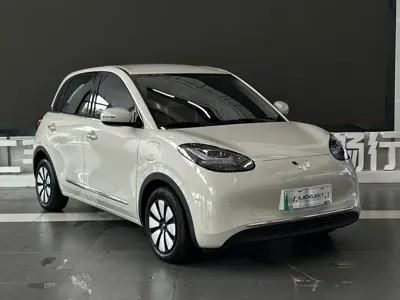 Wuling Bingo