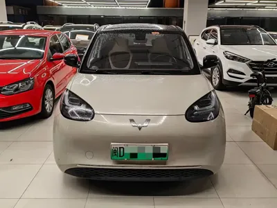 Wuling Bingo