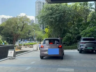 Wuling Bingo