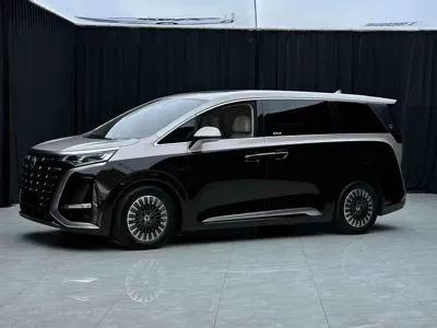 Denza Denza D9