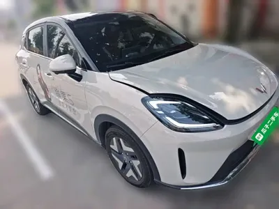 Wuling 缤果S