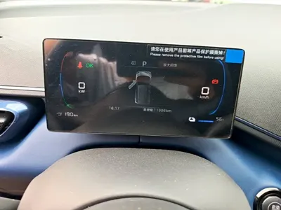 BYD Seagull