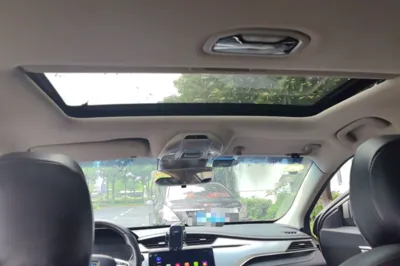 Geely Auto Binray