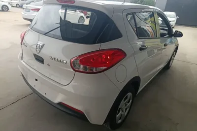 Baojun 310