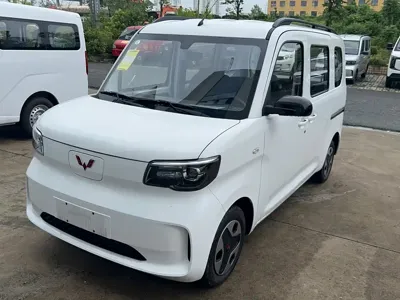 Wuling Zhiguang EV
