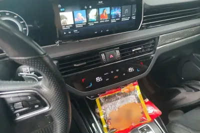 Hongqi HS5