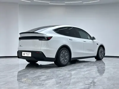 Tesla Model Y L