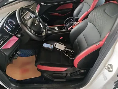 Geely Binrui