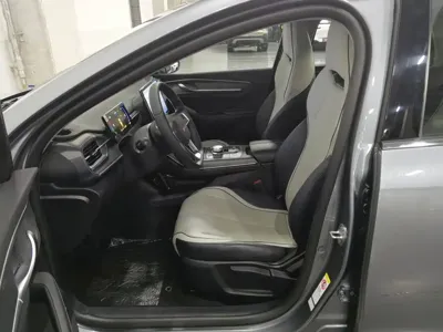 BYD Destroyer 05