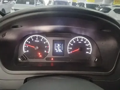 Fengxing Lingzhi PLUS