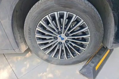 Denza D9