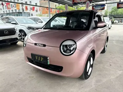 Qiyuan Lumin