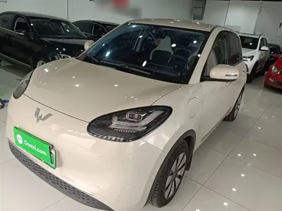 Wuling Bingo