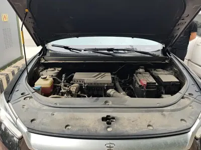 BYD Pro