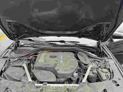 BMW 5 Series New Energy
