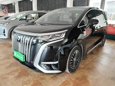 Denza Denza D9