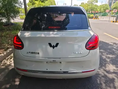 Wuling Bingo