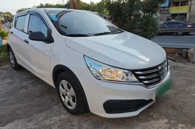 Baojun 310