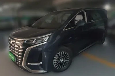 Denza D9