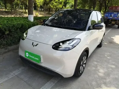 Wuling Bingo