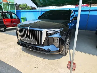 Hongqi Hongqi E-HS9