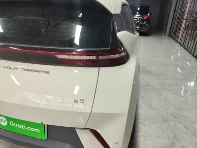 BYD Seagull
