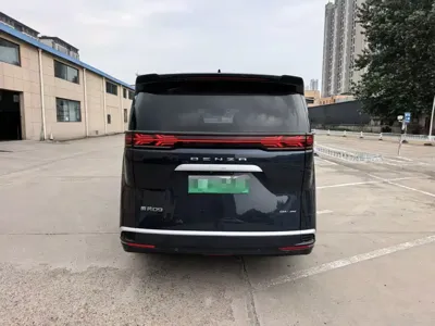 Denza Denza D9