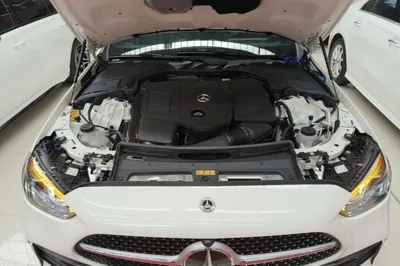 Mercedes-Benz C-Class New Energy