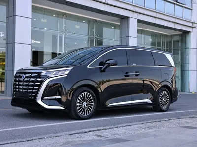 Denza Denza D9
