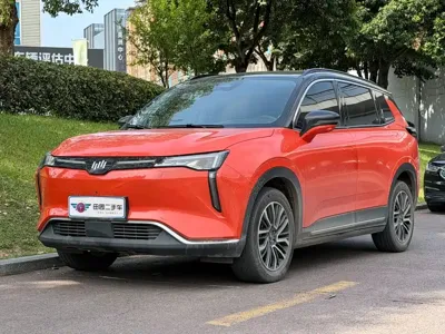 WM Motor W6