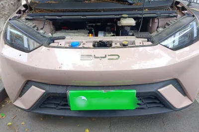 BYD Seagull