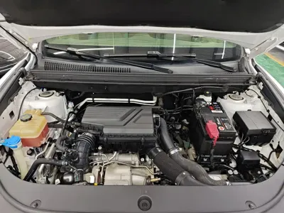 BYD Pro