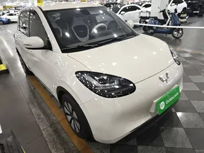 Wuling Bingo